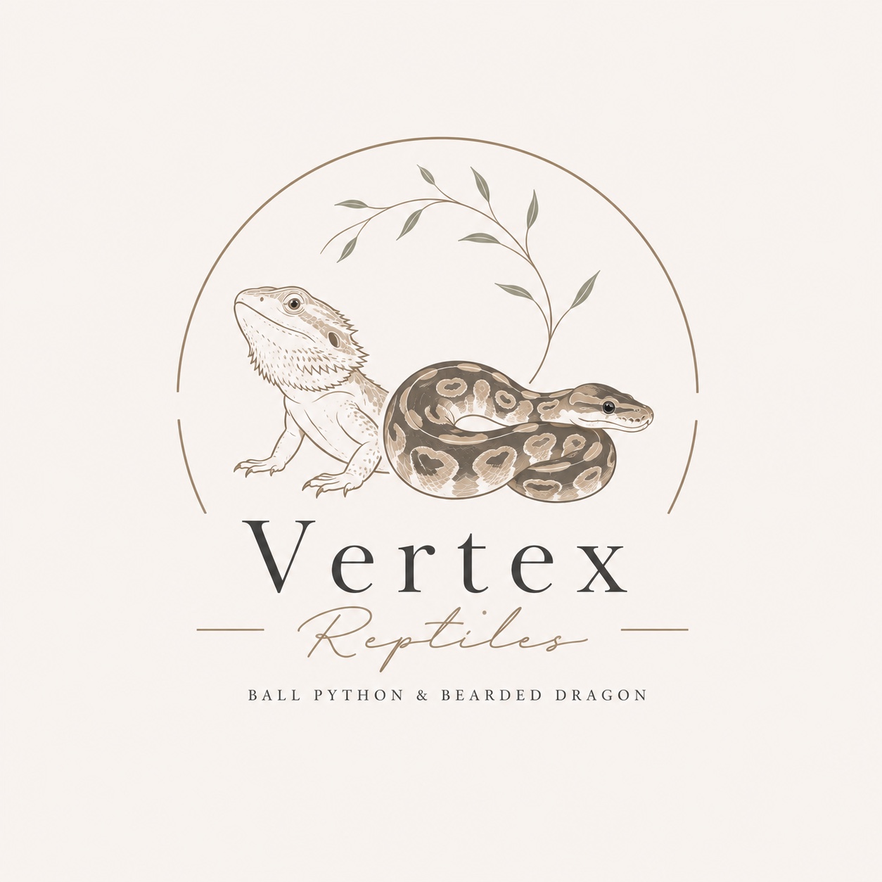 Vertex Reptiles